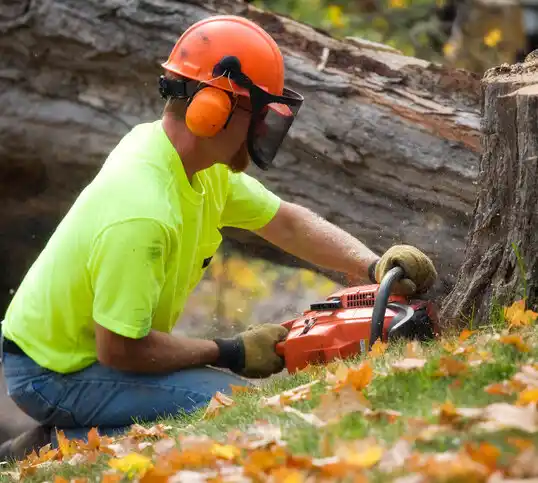 tree services Nenahnezad